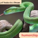 What Is the Biblical Meaning of Snakes in a Dream? A Christian Guide to Spiritual Interpretation